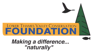 Lower Thames Valley Conservation Foundation